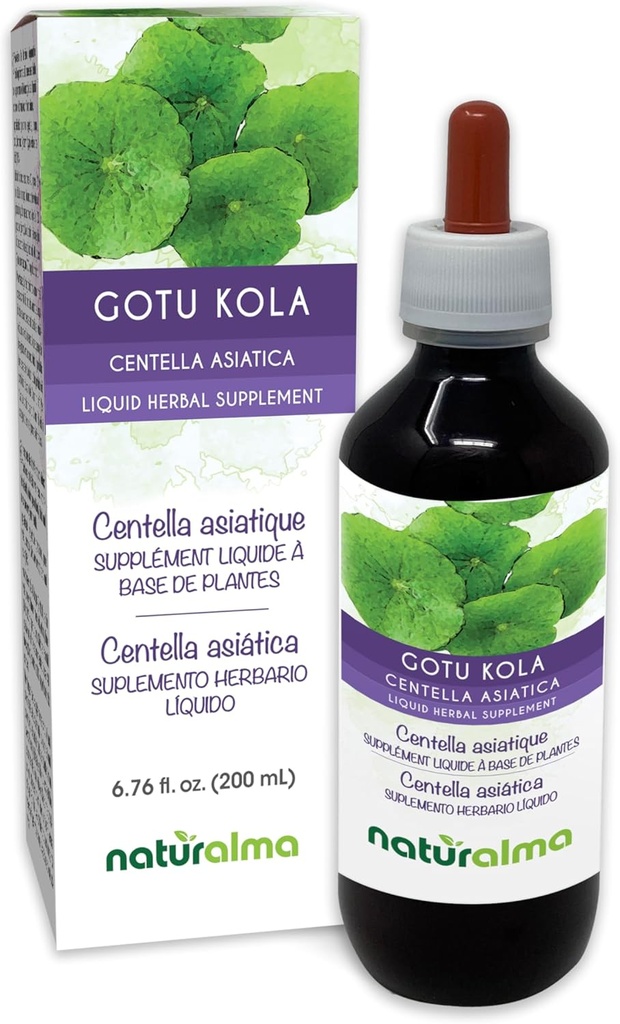 Naturalma Gotu kola (Centella asiatica) yrtti Alkoholiton Tincture - 6.76 fl oz Liquid Extract in Drops - Kasviperäisten Supplement - Vegan