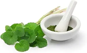 (Pack of 2) Organic Centella Asiatica Powder (50 g)