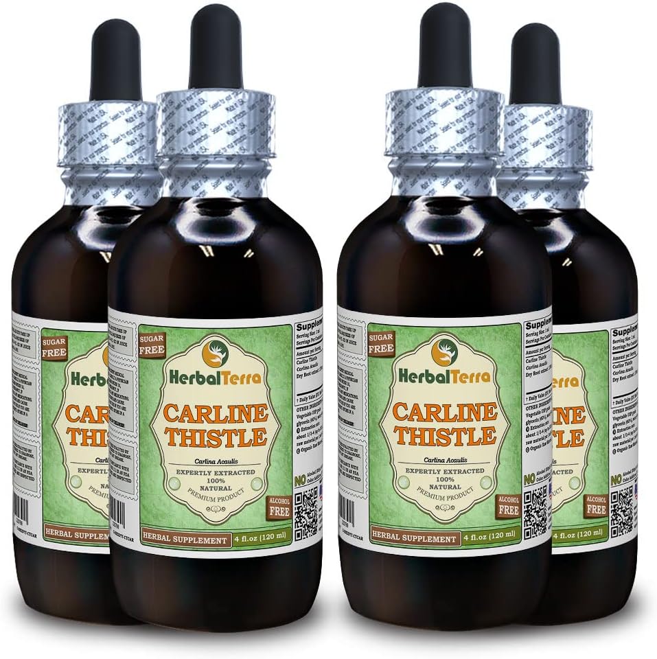 Carline Thistle (Carlina acaulis) Glyseriitti, kuivattu juuria Alkoholiton nesteuute (Brandin nimi: HerbalTerra, ylpeästi valmistettu Yhdysvalloissa) 4x4 fl.oz (4x120 ml)