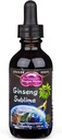 Dragon Yrtit Ginseng Sublime Drops ... Kaikki Natural Extract täydentää tukea energiaa, stressiä, keskittyä, ihoa, Endurance, Keuhkot, Immuuniterveys American, Red, ja White Ginseng 2 fl. oz