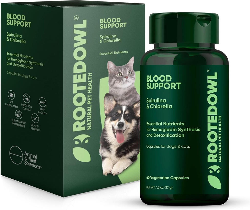 Rooted Owl Blood Support - Immuniteetti, Recovery and Iron Supplement koirat ja kissat - Anemia Tuki Spirulina ja Klorella - 60 / ct Vegan Kapselit