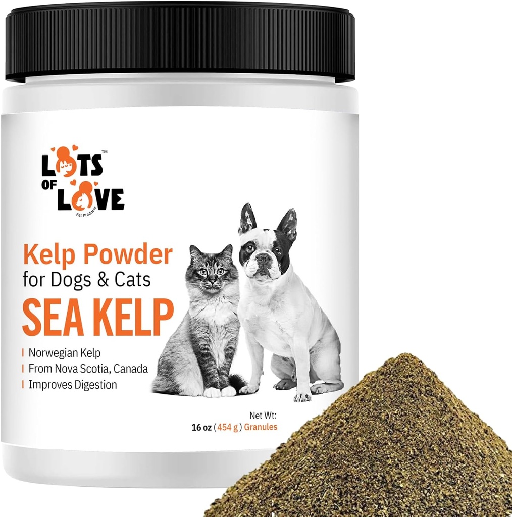 Kelp Powder for Dog & Cat - Organic Sea Kelp Supplement Rakeet Powder (16 Oz, 1 punta)