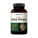 Irländska Sea Moss Capsules, 3 000mg Per Serving, 240 Veggie Pills | Tillverkad med organisk råpulver, Plus Bladderwrack & Burdock Root, Sea Vegetable Complex - Immune & Thyroid Superfood Support - Icke-GMO