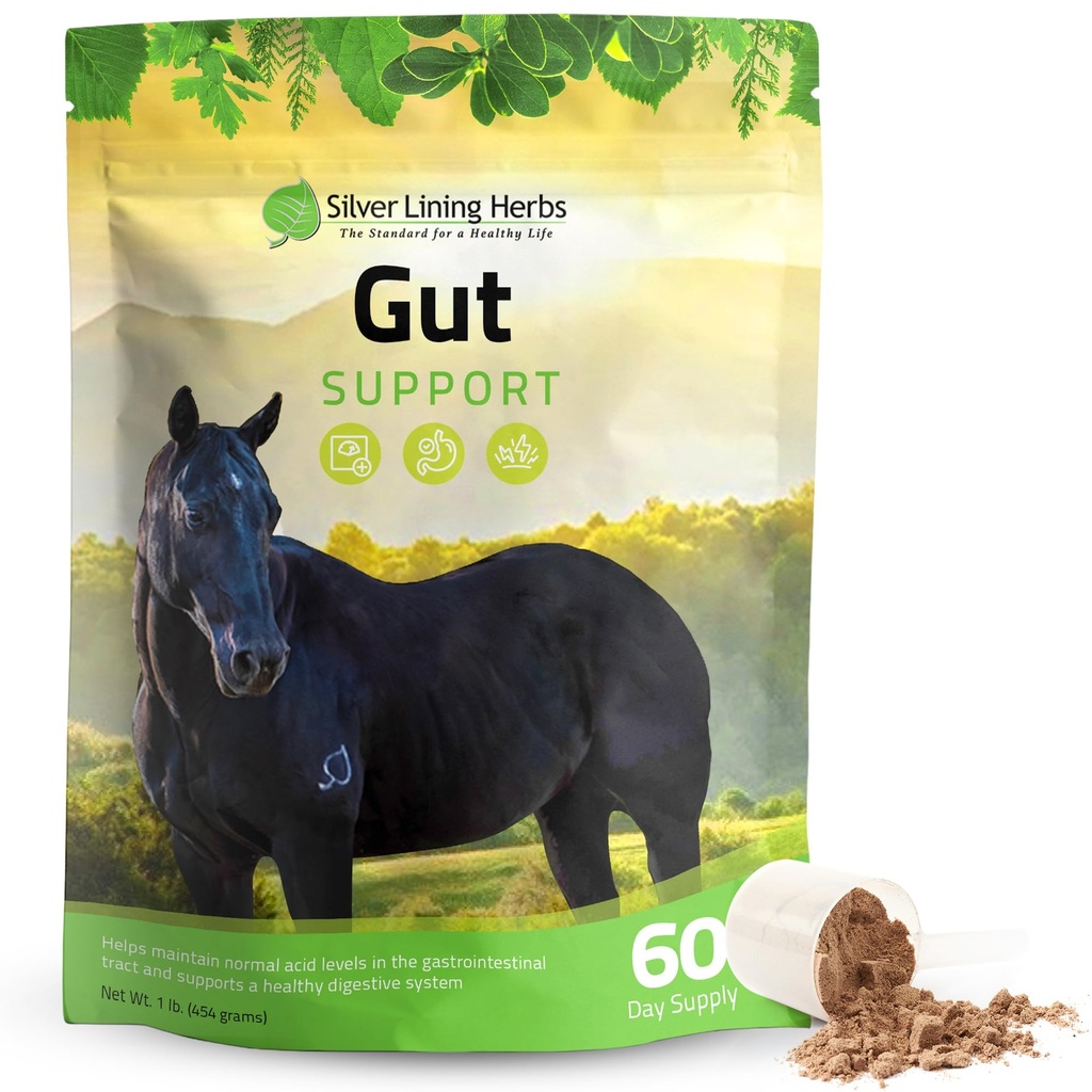 Silver Lining Yrtit Gut Support Horse Lisäravinteet - Gut Health & Dgestive Supplement hevosille - Potent Digestion Support Herbal Blend of Licorice, liukas jalokivi & More - 1 lb 60 päivän toimitus