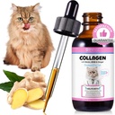 Kollagen för Cats 2 fl.oz, Liquid Collagen för Cats Drops, Premium Grass-fed Collagens för Cat Skin och Coat Supplement, Itch Relief for Cat with Allergies Immunity, med Bovine Collagens, Biotin, MSM