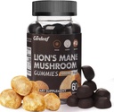 Lions Mane Mushroom Gummies för Nootropic Brain Supplement, Immune Support, Stress Relief Mushroom Supplement Berrry Flavor 60 Count