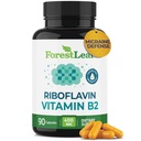 ForestLeaf-vitamiini B2 Riboflaviini 400 mg - Energia, ihon ja solujen terveys täydentää - Hermosto tuki - B-vitamiini 2 VIT B - ei-GMO & Gluteeniton - B2-vitamiini 400 mg kasvikapselit, 90