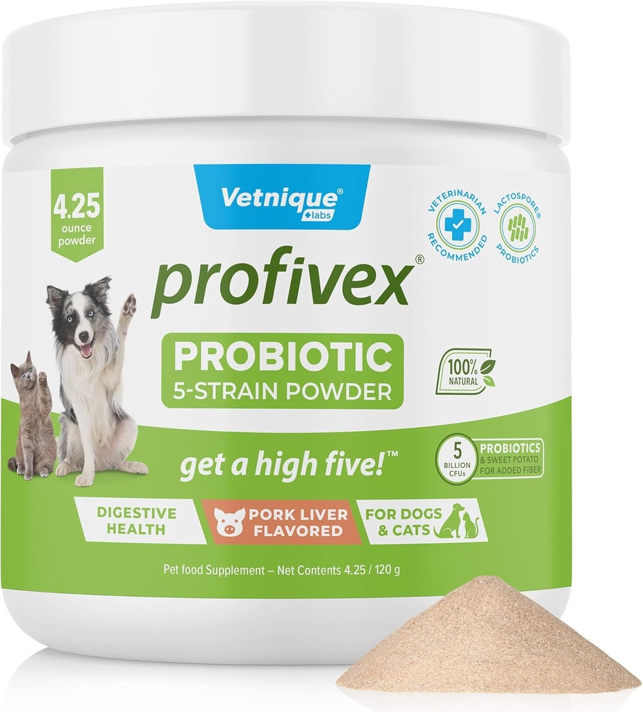 Vetnique Labs Prophivex Probiootit koirille Kaikki luonnolliset koiran purut & jauhetta digestiivinen terveys Probiootti täydentää koirille 5 kanta Probiootit & prebiootit (Powder, 4.25oz)