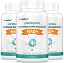 Orgabay Liposomal NAD+ Tillägg 500 mg, hög absorption, öka NAD + med TMG 250 mg, faktiskt NAD Plus mer effektiv än nikotinamid Riboside, stödja cellulär energi, hälsosam åldrande | 180 Softgels