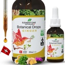 Naturliga botaniska droppar - Ginger och Digestive Enzymer i en organisk formel för omfattande välbefinnande, stöd immunsystem, främja inflammationslättnad och förbättra blodcirkulationen (50ml)