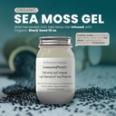 Ashwagandha Mango Sea Moss Gel Organic Fresh Fruit infused Wild Harvested Irish Sea Moss Gel 