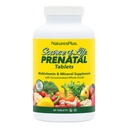Natures Plus Lähde Life Prenatal - 800 mikrog Folate, 90 kasvisruokaa Tabletit - Kaikki luonnolliset prenatal vitamiineja ja kivennäisaineita rauta & kalsium - Optimaalinen terveys & energia - Gluteeniton - 45 tarjoilu