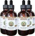 Hibiscus alkoholiton nesteuute, orgaaninen hibiskus (Hibiscus Sabdariffa) Kuivattu kukka Glycerite Havaiji Pharm luonnon kasviperäisten täydennysosa 4x4 oz