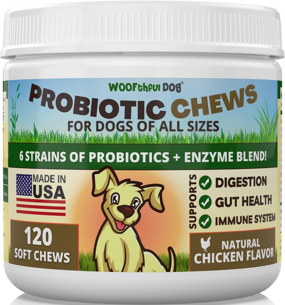 Probiootit koirille - Dgestive Health, Gut Flora, Bowell Support, Immunomy System Support - Soft Chews täydentää koirille 120 ct, Valmistettu USA
