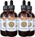 Sinicuichi Liquid Extract, Sinicuichi (Heimia Salicifolia) Tinktur, Herbal Supplement, Hawaii Pharm, Made in USA, 4x4 fl.oz