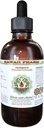 Kuumeinen alkoholiton nesteuute, orgaaninen kuumetauti (Tanacetum parthenium) Kuivattu Herb Glycerite Havaiji Pharm Natural Herbal Supplement 4 oz