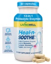 HEAL-N-SOOTHE-yhteistukilisät - Proteolyyttiset Entsyymit, kuten Bromelain & Papain, Boswellia, Turmeric & Ginger- edistää proteiinia Ruoansulatuskyky & kehon puolustus hyvinvointi- 60 Count (1 Pack)