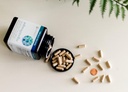 Ashwagaandha Supplement Organic KSM-66 Ashwagaandha Kasvissyöjä Supplement 180 kapselia, 1000 mg per päivittäinen tarjoilu, auttaa tukemaan terveen stressin hallinta vastaus, selkeä