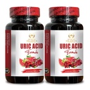 URIC Acid Support - Palauta yhteinen Mukavuus, liikkuvuus, Joustavuus, Sisältää Tart Cherry, Chanca Piedra, Selleriuute & Turmeric - 2 pullot 120 kapselia