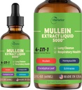 4-in-1 Mullein Drops for Keuhkot, Organic Mullein Leaf & Honeysuckle & Eucalyptus Leaf & Echinacea Otteita, for Lung Cleanse, Immuno & hengitysteiden tuki, sokeriton Vegan, 2 Fl oz