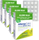 Boiron AllergyCalm Tablets 240 greve, lättnad från allergier och Hay Fever Symptom på Sneezing, Runny Nose, Itchy Eyes, Throat, Allergy Calm Tabs (Formerly RhinAllergy) (Pack av 4 60ct Boxes)