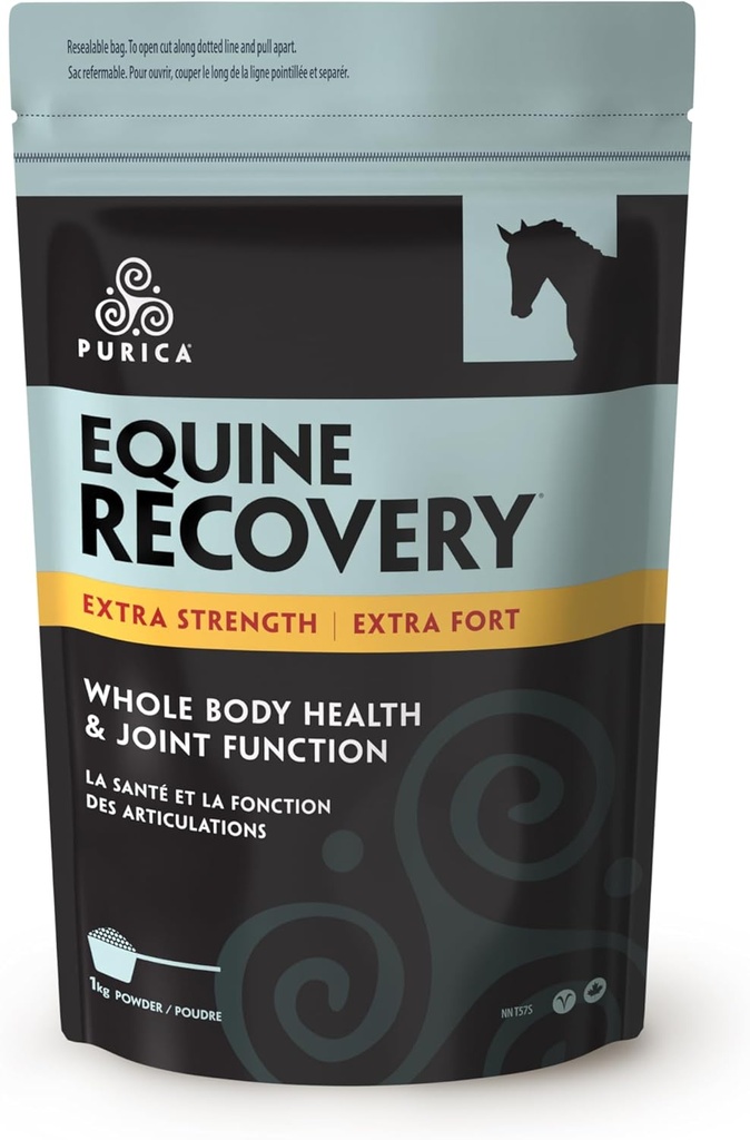 PURICA Equine Hyaluronic Acid - Horse Joint Support Supplement with Glukosamiini, MSM Powder, Betaine, Magnesium, C-vitamiini ja E - Vihreä teetä ja viinirypäleen siemenuute - Hevosen tarvikkeet ja herkut