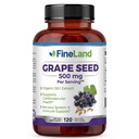 FineLand Grape Seed Extract 50:1 