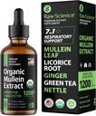 Organic Mullein Drops for Keuhkot - Hengitysteiden tuki ja lima Relief - Lung Detox Smokers: Müllein Leaf Extract, Licorice, Inkivääri, Oregano & Nettle Leaf, Thyme - Lung Cleanse Herbal Extract, 2oz