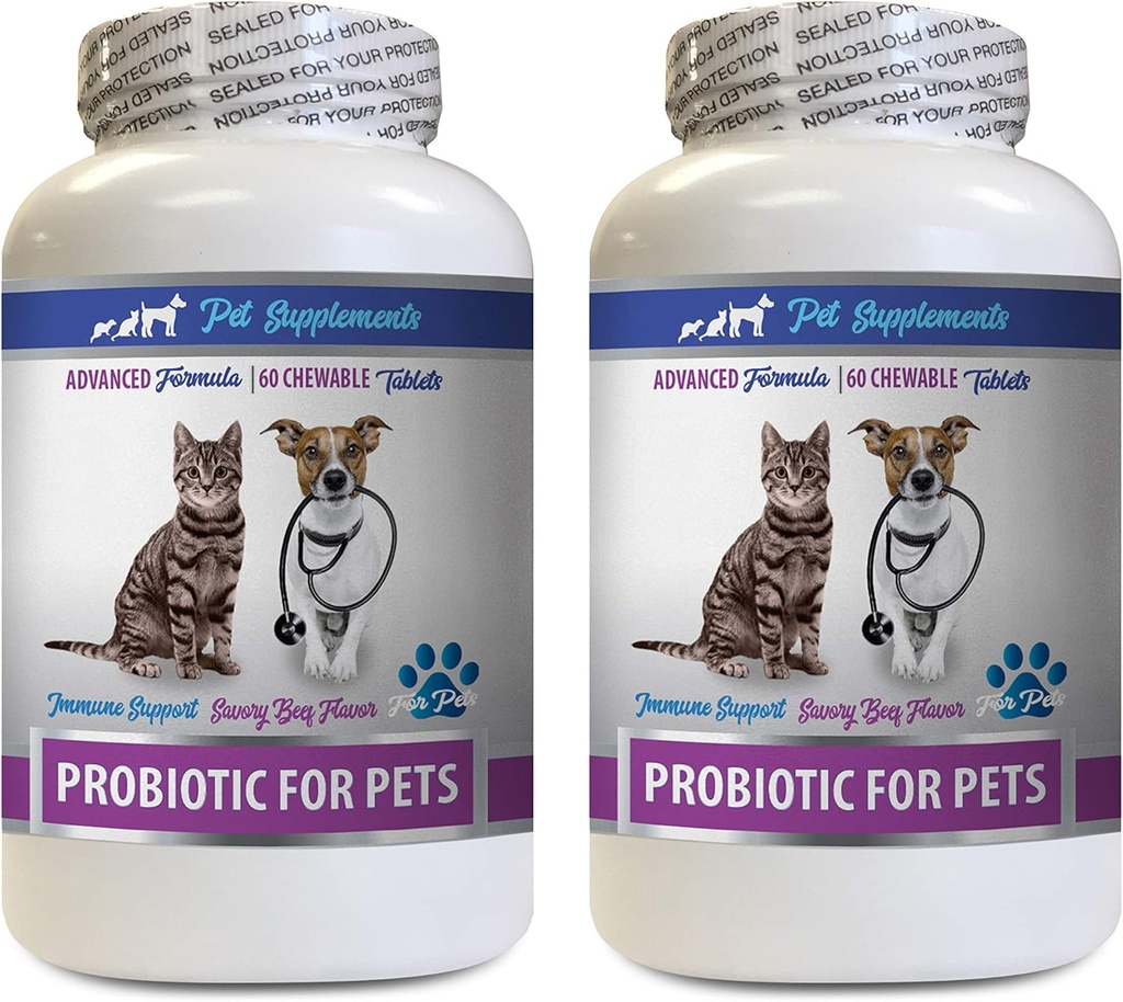 kissa Bad Breath Treats - PROBIOTICS lemmikkieläimet - koirat Kissat - huono kaasu ja hengitys herkut - Advanced Immuuni Boost - Paras probiootit kissat - 2 pullot (120 hoitoja)