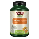 Nu Pet Health, L-Lysine Supplement, Powder, formulerad för katter, NASC Certified, 8-Ounce