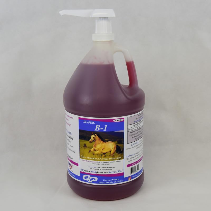 SU-PER B-1 Hästbalsameringstillskott - Equine Vitamin B-1 Support Horse Calmer Liquid - Appetite Booster Supplement för hästar - 1 Gallon + Pump, 4 månaders leverans