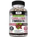 Kaya Naturals - Caralluma Fimbriata 1200mg High Potency Supplement | Maximal Strength Natural Endurance Support, Vegetariska kapslar (30 greve)