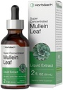 Horbäach Mullein Leaf Extract Drops ... 2 fl oz... Alkoholiton nestetänkki... Kasvisruokaa, ei-muuntogeenisiä organismeja ja gluteenittomia kasviperäisiä ainesosia.