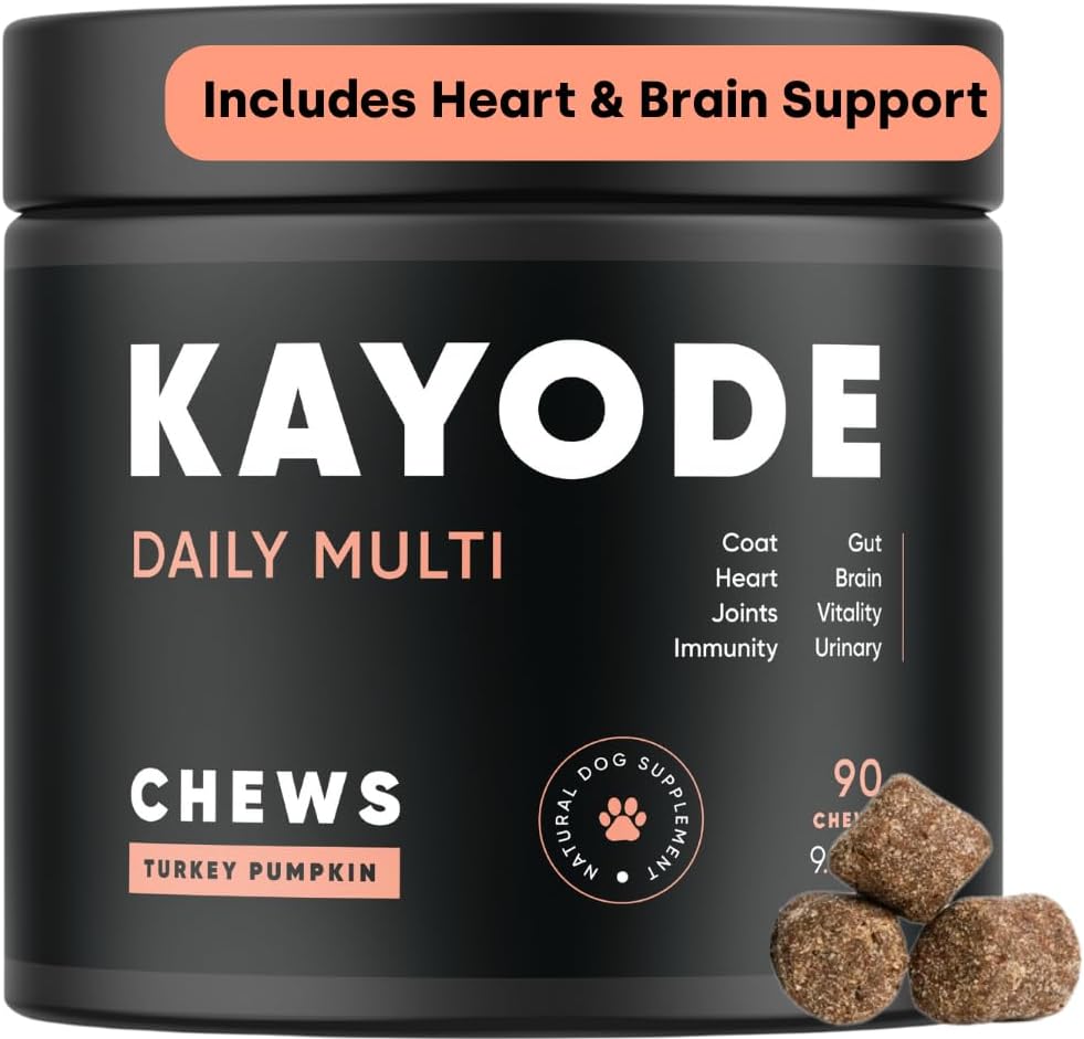 Kayode Daily Multi - Dog Multivitamiini & Superfood Chew. Täytä ravinteisia pillereitä. Auttaa nivelet, digestio, sydän, aivot, virtsa ja enemmän. Lisää ravintoaineet Koira Ruoka Missejä. Hienoa pennuillekin.