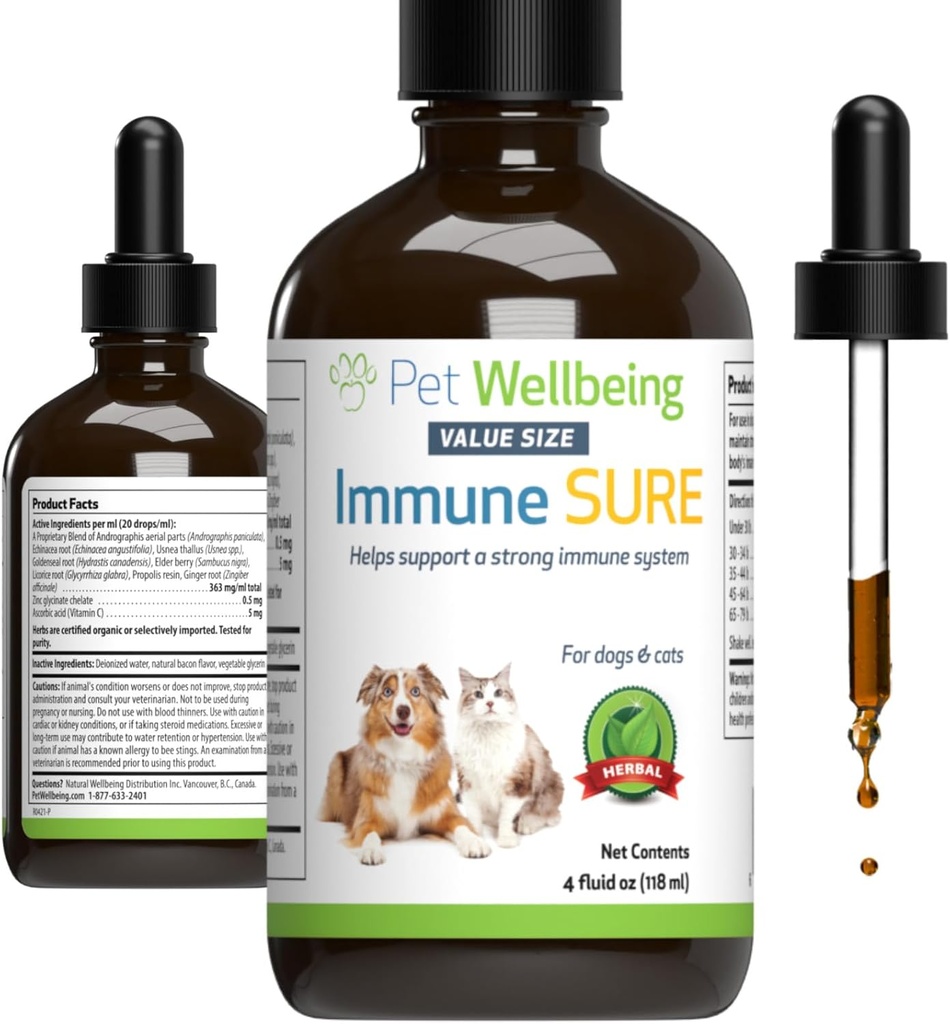 Lemmikki hyvinvointi Immuuni Varma koirille - Tukee normaalit Immuunit, Gut Flora Balance, Andrographis, Echinacea, C-vitamiini, Sinkki - Eläinlääkäri-Furmoitu kasviperäisten täydentää 4 oz (118 ml)