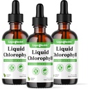 LIQUIDHEALTH Liquid klorofylli Drops - sisäinen deodorizer, antioksidantit, maksan detox, Immuuni tuki, lievittää pahaa hengitystä, vähentää ruokahalua, kollageeni hiukset ja ihon terveys - Vegan, ei-GMO (3 pakkaus)