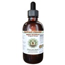 Senega Snakeroot Alkoholiton nesteuute, Senega Snakeroot (Polygala Senega) Kuivattu juuri Glycerite Natural Herbal Supplement, Havaiji Pharm, USA 2 fl.oz