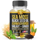 Sea Moss, Black Seed Oil, Ashwagandha, Inkivääri, Shilajit Gummies kanssa Elderberry, klorofylli, Turmeric rakkorapu Sea Moss Gumies Advanced Strength Formula - Kaikki 1 Bundle - USA Made (60 Gummies)