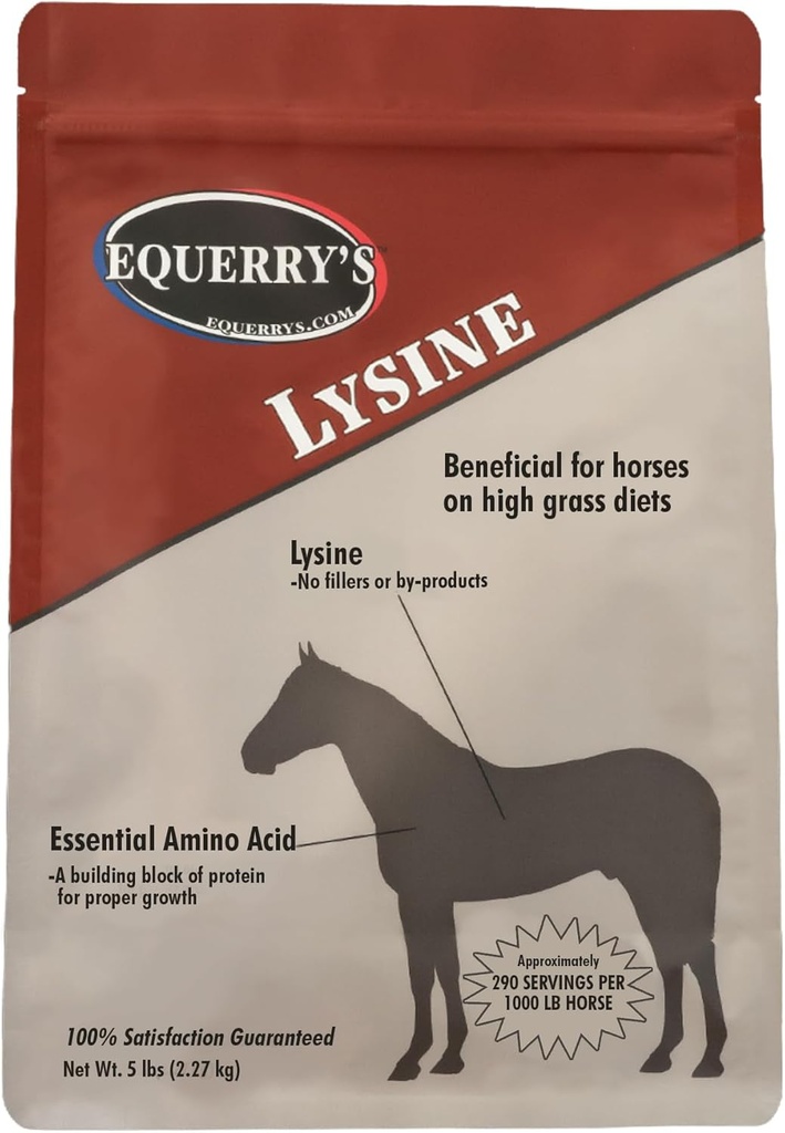 Equerry n Lysine täydennysosa hevosille Lysine Powder täydennysosa lihasten tukea ja immuuniterveyteen ... Balances Forage-Based ruokavaliot ... 5Ib Bag