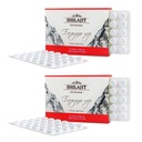 Altai Shilajit 120 tablettia Mountain Balsam Label - Original Altai Siperian 100% Pure Fulvic Acid and Trace Minerals