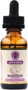 Lions Mane -sieni täydentää - Organic Sienet - Dual Extraction Oil Tincture w/ Ginkgo Biloba - Tuki aivot, muisti, Focus, Gut Health - 30ml, 1 Fl Oz (Pakkaus 1)