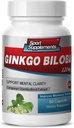 Aivolisäkkeet muistia ja keskittyä - Ginkgo BILOBA 120MG - Gingko biloba Plant, Focus täydentää aikuisille, Gingko biloba täydentää, Ginko biloba pillereitä Natural, muistia täydentää - 1B 60 Caps
