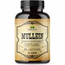 HERBALICIOUS Mullein Leaf Extract keuhkoihin 