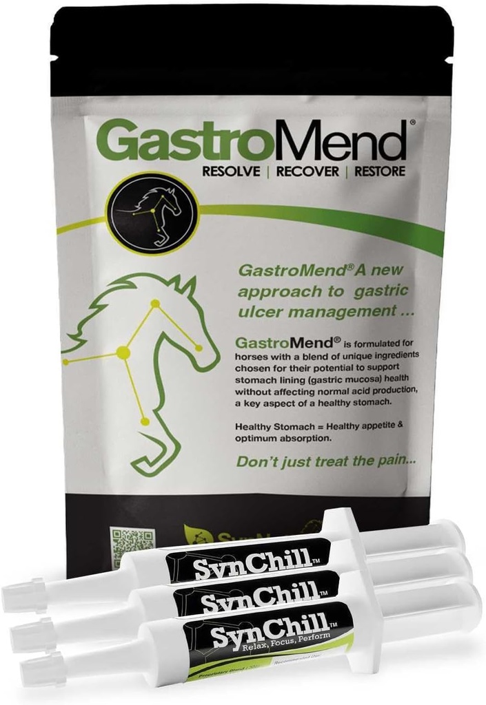 SynChill 3 Pack + GastroMend Bundle för hästar - Omfattande maghälsa och beteendestöd, hjälpmedel i gastric Ulcer Relief, främjar lugn och fokus, all naturlig, kostnadseffektiv
