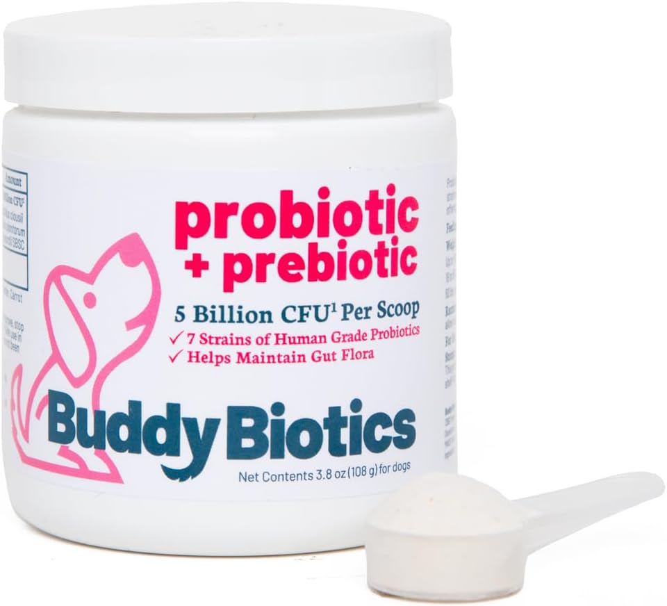 Buddy Biotics Probiootti + Prebiootti koirille - Gut Flora terveys, Ruoansulatus-ja immuuniterveys, ripuli ja Bowel Support 5 miljardia PMY per Scoop