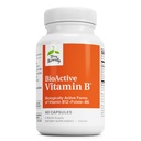 Terry Luonnollisesti BioActive Vitamiini B - Apua Heart Health Bioaktiiviset B Vitamiinit - täydentää Folaatti & Kalsium - B Complex Vitamiini Aid Hermoston toiminta - 60 kapselia