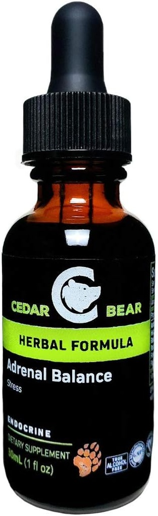 Cedar Bear lisämunuaisen tasapaino - nestemäinen kasviperäisten täydentää Adaptogens, joka taistelee väsymystä, hallita stressiä ja lisätä energiaa 1 fl oz / 30 ml