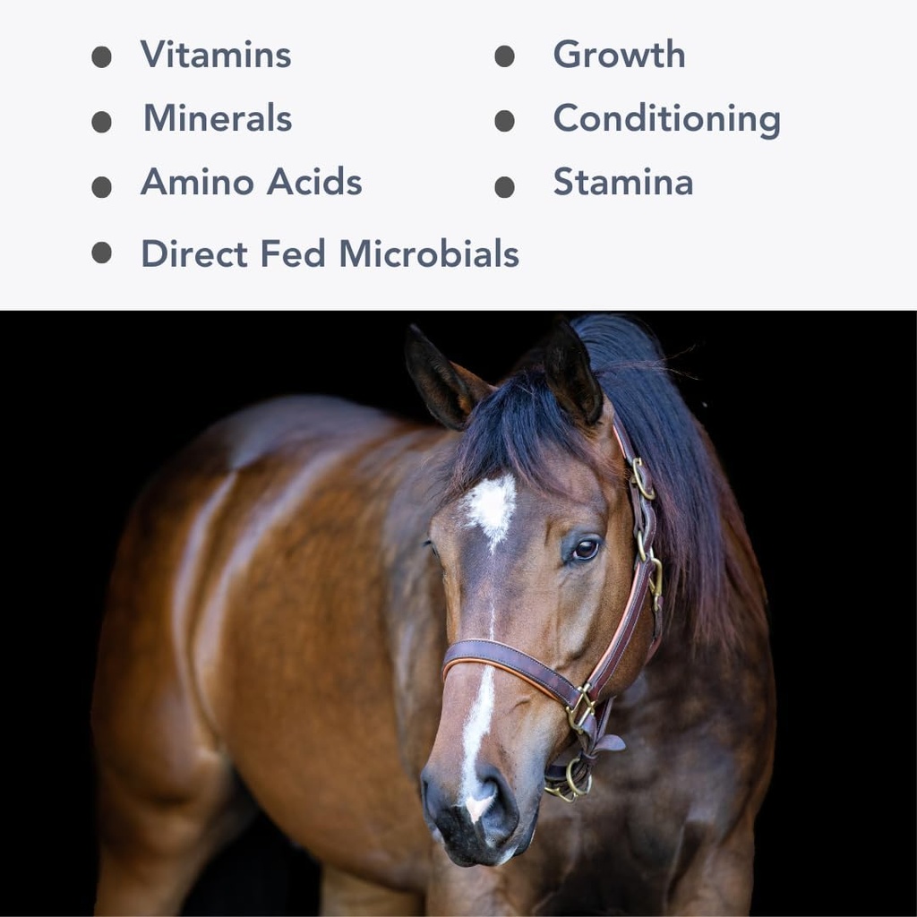 Mega-Mag (35lb) Balanserad multivitamin / mineraltillskott för Alfalfa Hay Diets.