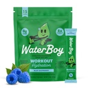 Waterboy Workout Hydration | 2 960mg Sugar Free Electrolyte Powder Packets | L-Glutamin + Vitaminer | No Sugar, All Natural, Gluten Free | 15 Drink Stick Mixes (Blue Raspberry)