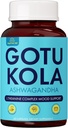 Angel Rauhoitu Stressi Relief täydentää naisten ja miesten Focus, Mielialatuki, luonnon energia & rauhallinen, Kortisol Balance + Nopeasti toimivat Ashwagandha-vitamiini B12, Rodiola Rosea & Lemon Balm 60 Count